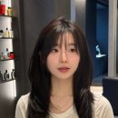 새라헤어 이미지