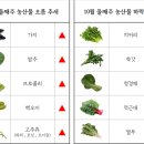 (주)청운