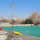 종합운동장 인라인스케이트장 이미지