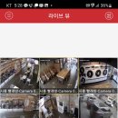 에쓰에이 이미지