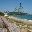 레일바이크 이미지