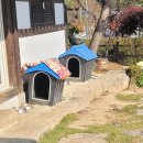 카리스마모텔 | 가을여행2(함양대봉산 모노레일,개평한옥마을)