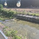 냇가민박 이미지