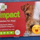 솔모루약국 이미지