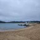 비오는 학암포에서 - 브룩클린으로 가는 마지막 비상구 이미지