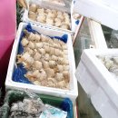 회천수산물위판장(옥내) | 전라도 보성 맛집 보성회천수산물위판장 솔직 후기