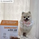 펫앤바이오 이미지