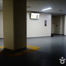부산종합운동장 Daum카페