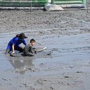 거차뻘배체험장 이미지