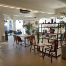 카페테디(CAFE Teddy) 이미지