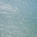 소니코리아(주) | 운 좋게 당첨된 소니 댓글 이벤트 📸 | 사진 좋아하면 설레는 MyAlpha365 일력 실물 후기