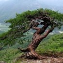 (주)쌍룡