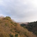 악근천(풍림콘도 -동쪽 바로 옆) | 제주도 자전거 여행(3)