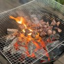 피콕빌리지 이미지