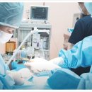 개봉동물병원 이미지