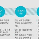 발라 이미지