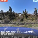 서부차량관리 티스토리