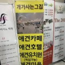 개가 사는 그집 이미지