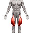 헬스짐(Hell's Gym) 이미지