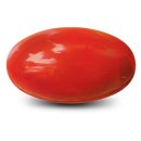 헬스비젼 이미지