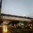 피알그리다 이미지