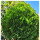 가향농장 이미지