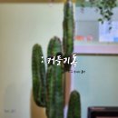 커들리 독 | [커들리독, 리뷰ː후기] 수제비컷 | 파주강아지미용샵