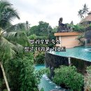 더정글 | 발리숙소 신혼여행추천 더카욘정글리조트 후기