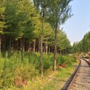 경춘선숲길 이미지