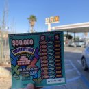 TWENTYNINE29(투웬티나인29) | 🇺🇸 LA 근교여행! 조슈아트리 국립공원 핵심 명소 총정리 🌵 (조슈아나무, 쵸야 캑투스 가든, 스컬록)