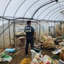 용안파출소 이미지