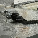 슈퍼스타타워화장실 | 여름, 동경. #03