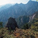 산과바다 이미지