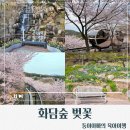 계리입구 소나무 숲 | [경기/광주]화담숲 후기예약/코스추천/자작나무숲/소나무정원/분재원/색채원/자연생태관/아기랑화담숲