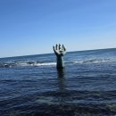 구룡포침구 | 포항 풀글램핑&펫글램핑｜바다 보이는 포항글램핑 & 구룡포숙소 힐링 후기