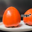 지리산 악양 하동 베리타임 대봉감 5kg