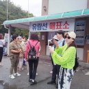 소소우아 이미지