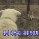 없음 이미지