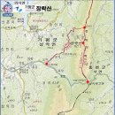 유신상회