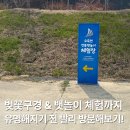 푸른경로당 | [강릉 가볼만한곳] 4월 강릉여행 오죽헌 근처 벚꽃 명소 전통뱃놀이 체험장 <강릉생태저류지>