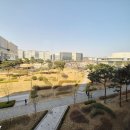 (주)대지개발 | 르웨스트 마곡 오피스텔 69타입 직접 보고 느낀 실사용 후기 현장에서 확인한 핵심 포인트