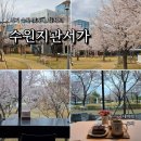 수원시글로벌평생학습관 세미나실 | 수원 카페 지관서가 벚꽃 보며 힐링하기 좋은 곳 주차장 영업시간
