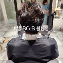3798 | 해운대 센텀미용실 비셉 남자 볼륨펌 잘하는 곳 수지디자이너 후기