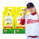 비디사이언스 이미지