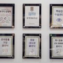 이솝동물메디컬 | 강아지 백내장 진주 이솝동물메디컬