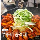쭈꾸미공격대 이미지