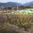 통돼지잡는집 | 파랑새 투어 당일치기 버스투어 광양매화축제, 구례산수유꽃축제 후기