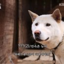 이리오시개 이미지