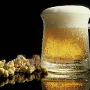 보보스호프 이미지