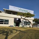 음악이 머무는 도시 | [일산 덕이동 카페 보야지 후기] 도심 속 작은 여행, 음악이 흐르는 감성 LP카페